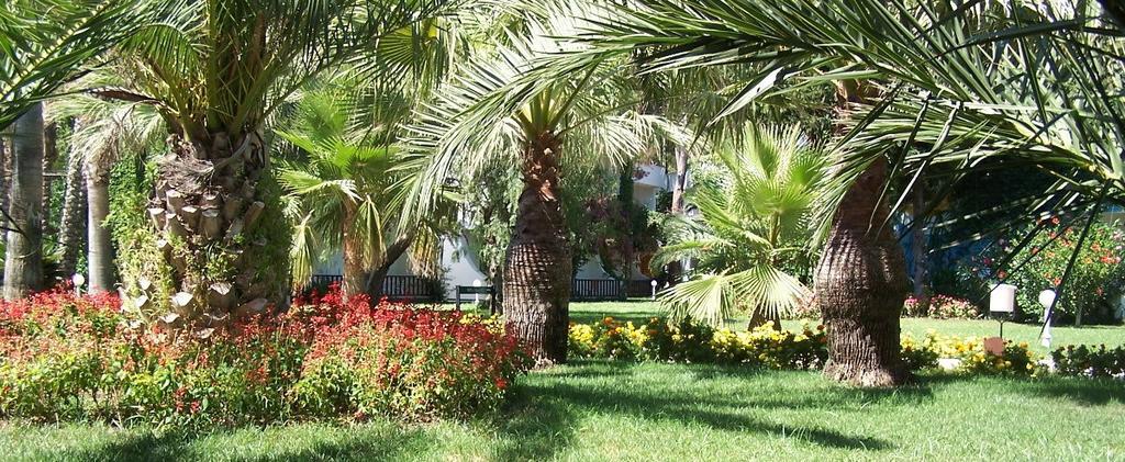 Club Boran Mare Beach Kemer Exterior foto