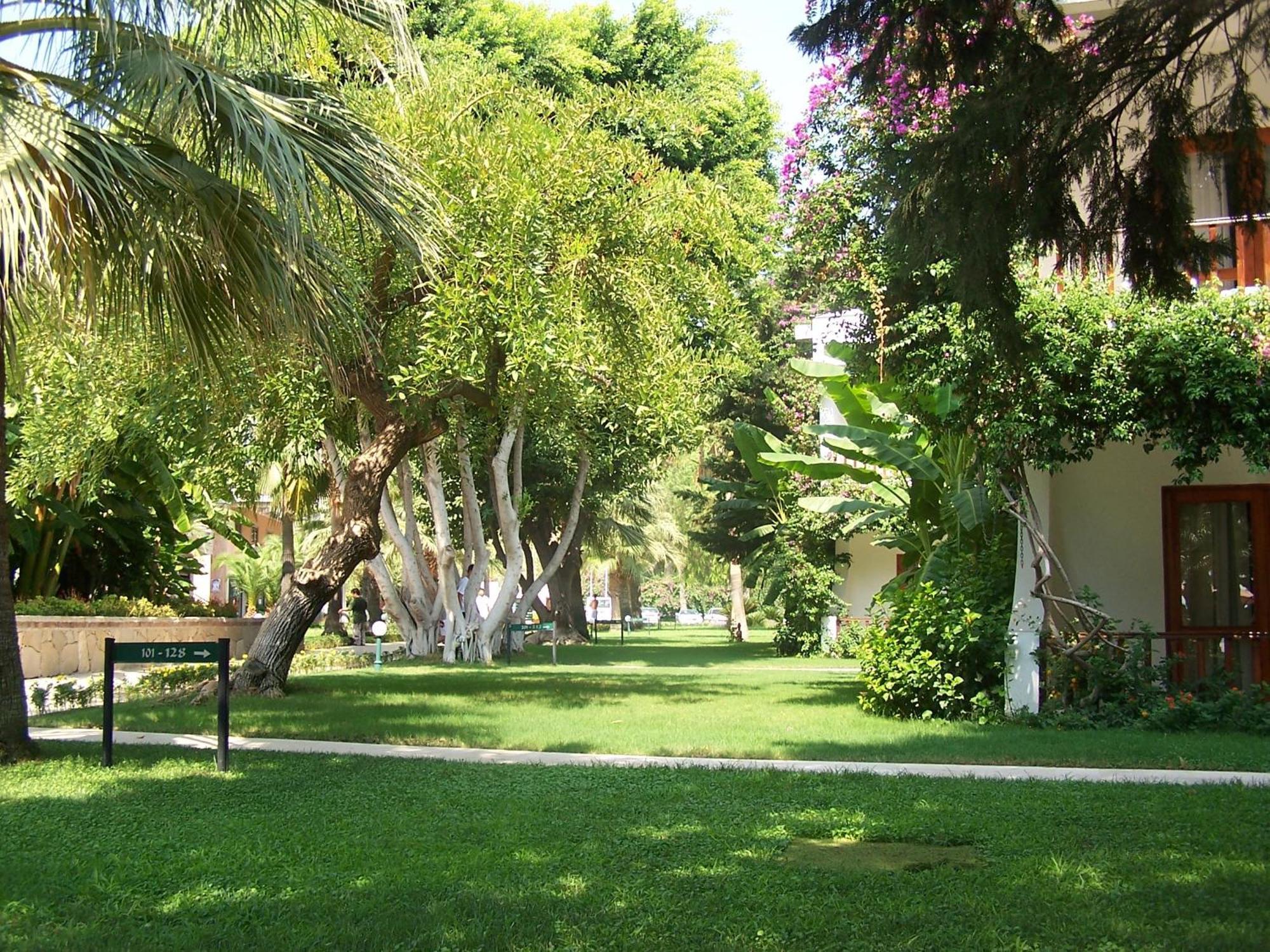 Club Boran Mare Beach Kemer Exterior foto